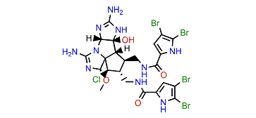 Axinellamine D